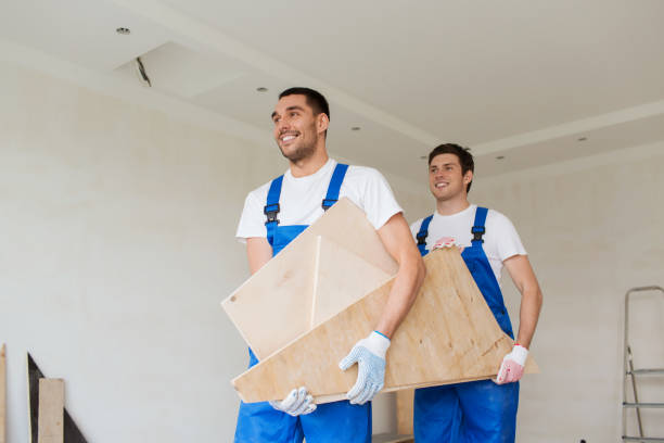 Best Shed Removal  in South Barrington, IL